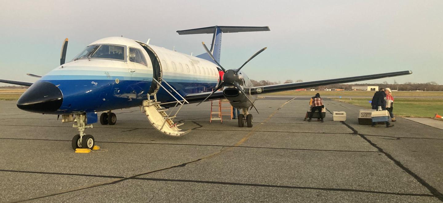 Delaware is a "no-kill" state and is a mecca for animal rescue flights arriving to bring animals to a new life and hope at Civil Air Terminal in Dover DE